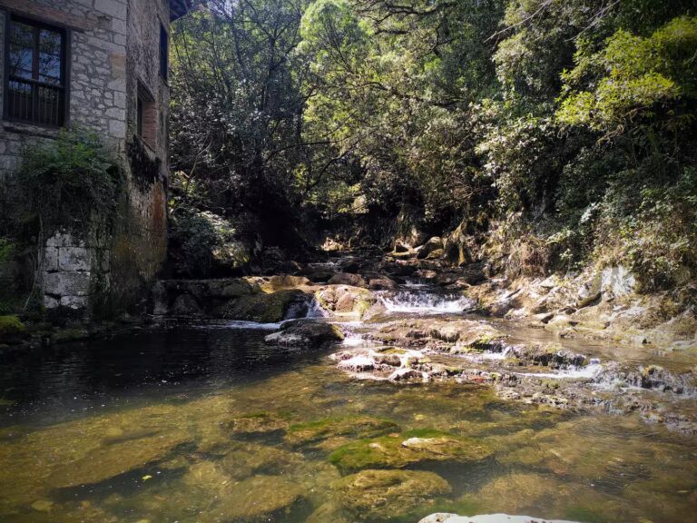 Rio que fluye pegado a la casa rural