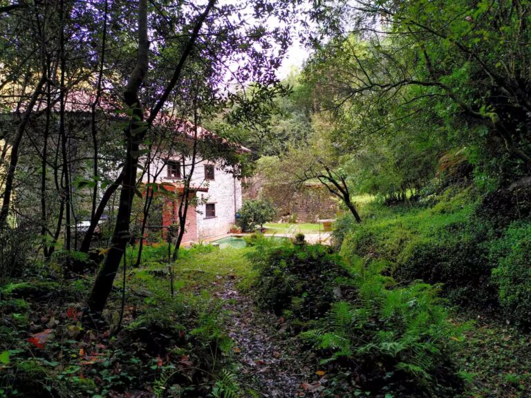 Camino que da a la casa El Molino del Trancar